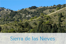 Sierra de las Nieves